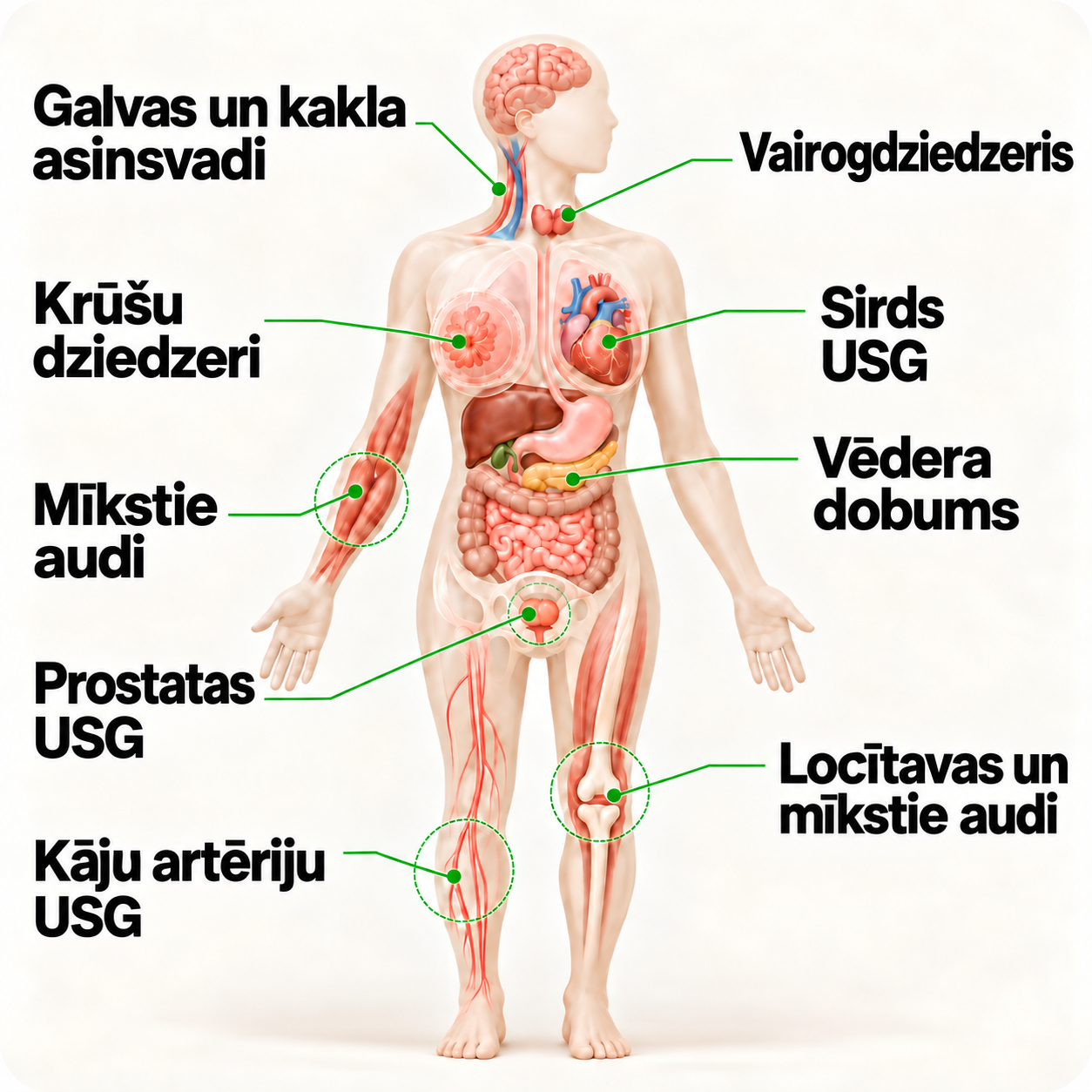 Ķermeņa shēma: orgāni un zonas, ko izmeklē ar USG