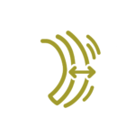 Icon: heart wall thickness and motion