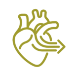 Icon: heart pumping function
