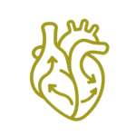 Icon: blood flow in the heart