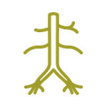 Vēdera aortas USG — Grand Medical