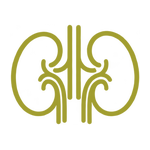 Nieru USG — Grand Medical